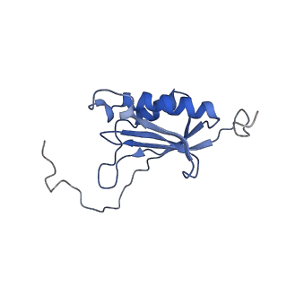 0600_6ole_SO_v1-1
Human ribosome nascent chain complex (CDH1-RNC) stalled by a drug-like molecule with AP and PE tRNAs