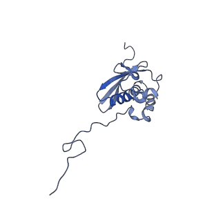 0600_6ole_SQ_v1-1
Human ribosome nascent chain complex (CDH1-RNC) stalled by a drug-like molecule with AP and PE tRNAs
