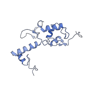 0600_6ole_SS_v1-1
Human ribosome nascent chain complex (CDH1-RNC) stalled by a drug-like molecule with AP and PE tRNAs
