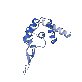 0600_6ole_ST_v1-1
Human ribosome nascent chain complex (CDH1-RNC) stalled by a drug-like molecule with AP and PE tRNAs