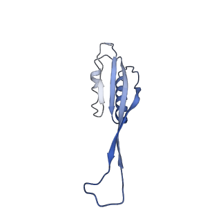 0600_6ole_SU_v1-1
Human ribosome nascent chain complex (CDH1-RNC) stalled by a drug-like molecule with AP and PE tRNAs