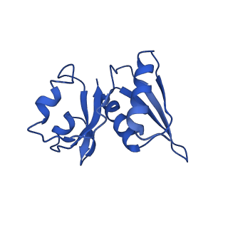 0600_6ole_SW_v1-1
Human ribosome nascent chain complex (CDH1-RNC) stalled by a drug-like molecule with AP and PE tRNAs