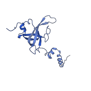 0600_6ole_SX_v1-1
Human ribosome nascent chain complex (CDH1-RNC) stalled by a drug-like molecule with AP and PE tRNAs