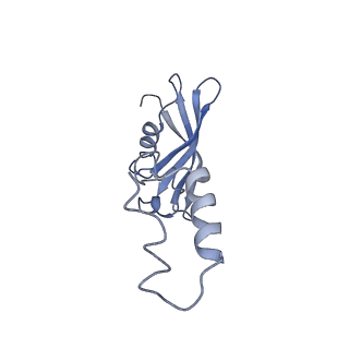 0600_6ole_SY_v1-1
Human ribosome nascent chain complex (CDH1-RNC) stalled by a drug-like molecule with AP and PE tRNAs