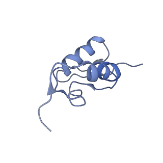 0600_6ole_SZ_v1-1
Human ribosome nascent chain complex (CDH1-RNC) stalled by a drug-like molecule with AP and PE tRNAs