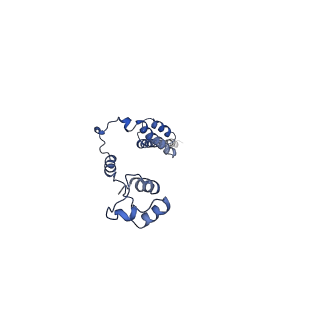 0600_6ole_S_v1-1
Human ribosome nascent chain complex (CDH1-RNC) stalled by a drug-like molecule with AP and PE tRNAs