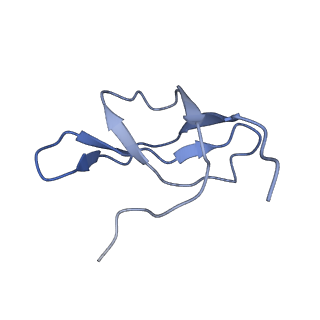 0600_6ole_Sc_v1-1
Human ribosome nascent chain complex (CDH1-RNC) stalled by a drug-like molecule with AP and PE tRNAs