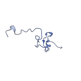 0600_6ole_Sd_v1-1
Human ribosome nascent chain complex (CDH1-RNC) stalled by a drug-like molecule with AP and PE tRNAs