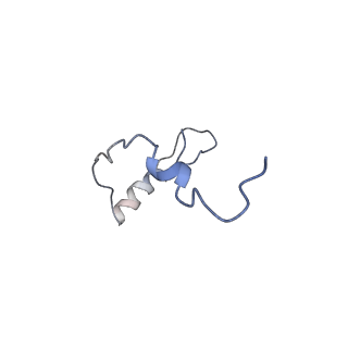 0600_6ole_Se_v1-1
Human ribosome nascent chain complex (CDH1-RNC) stalled by a drug-like molecule with AP and PE tRNAs