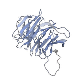 0600_6ole_Sg_v1-1
Human ribosome nascent chain complex (CDH1-RNC) stalled by a drug-like molecule with AP and PE tRNAs