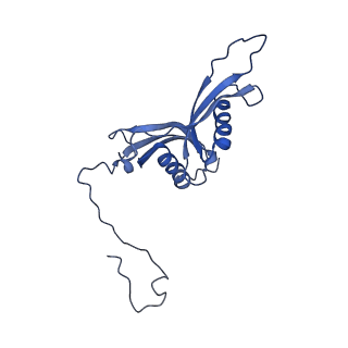 0600_6ole_T_v1-1
Human ribosome nascent chain complex (CDH1-RNC) stalled by a drug-like molecule with AP and PE tRNAs