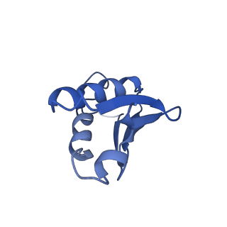 0600_6ole_V_v1-1
Human ribosome nascent chain complex (CDH1-RNC) stalled by a drug-like molecule with AP and PE tRNAs