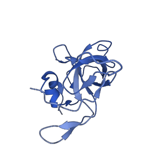 0600_6ole_W_v1-1
Human ribosome nascent chain complex (CDH1-RNC) stalled by a drug-like molecule with AP and PE tRNAs