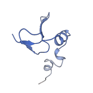 0600_6ole_X_v1-1
Human ribosome nascent chain complex (CDH1-RNC) stalled by a drug-like molecule with AP and PE tRNAs