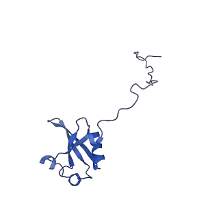 0600_6ole_Y_v1-1
Human ribosome nascent chain complex (CDH1-RNC) stalled by a drug-like molecule with AP and PE tRNAs