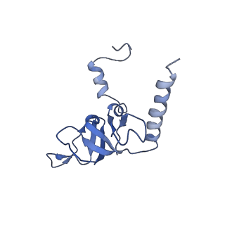 0600_6ole_Z_v1-1
Human ribosome nascent chain complex (CDH1-RNC) stalled by a drug-like molecule with AP and PE tRNAs