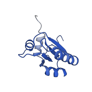 0600_6ole_d_v1-1
Human ribosome nascent chain complex (CDH1-RNC) stalled by a drug-like molecule with AP and PE tRNAs