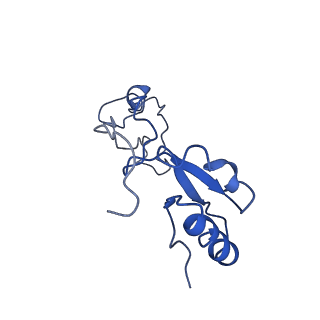 0600_6ole_f_v1-1
Human ribosome nascent chain complex (CDH1-RNC) stalled by a drug-like molecule with AP and PE tRNAs