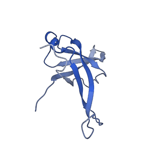 0600_6ole_g_v1-1
Human ribosome nascent chain complex (CDH1-RNC) stalled by a drug-like molecule with AP and PE tRNAs