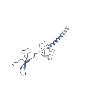 0600_6ole_h_v1-1
Human ribosome nascent chain complex (CDH1-RNC) stalled by a drug-like molecule with AP and PE tRNAs