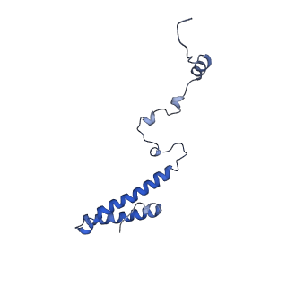 0600_6ole_i_v1-1
Human ribosome nascent chain complex (CDH1-RNC) stalled by a drug-like molecule with AP and PE tRNAs