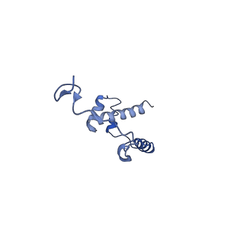 0600_6ole_j_v1-1
Human ribosome nascent chain complex (CDH1-RNC) stalled by a drug-like molecule with AP and PE tRNAs