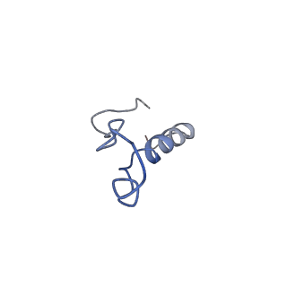 0600_6ole_m_v1-1
Human ribosome nascent chain complex (CDH1-RNC) stalled by a drug-like molecule with AP and PE tRNAs