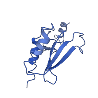 0600_6ole_r_v1-1
Human ribosome nascent chain complex (CDH1-RNC) stalled by a drug-like molecule with AP and PE tRNAs