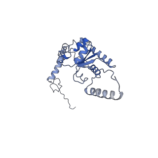 0601_6olg_AG_v1-1
Human ribosome nascent chain complex stalled by a drug-like small molecule (CDH1_RNC with PP tRNA)