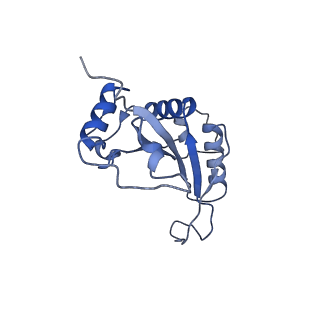 0601_6olg_AJ_v1-1
Human ribosome nascent chain complex stalled by a drug-like small molecule (CDH1_RNC with PP tRNA)