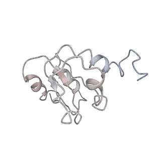 0601_6olg_AK_v1-1
Human ribosome nascent chain complex stalled by a drug-like small molecule (CDH1_RNC with PP tRNA)