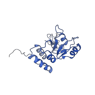 0601_6olg_AQ_v1-1
Human ribosome nascent chain complex stalled by a drug-like small molecule (CDH1_RNC with PP tRNA)