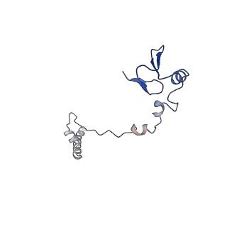 0601_6olg_AW_v1-1
Human ribosome nascent chain complex stalled by a drug-like small molecule (CDH1_RNC with PP tRNA)