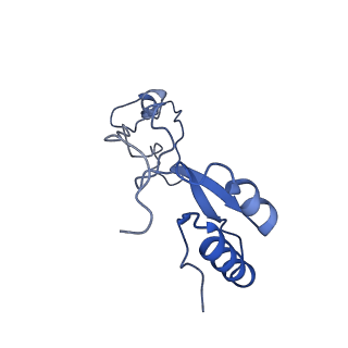 0601_6olg_Ae_v1-1
Human ribosome nascent chain complex stalled by a drug-like small molecule (CDH1_RNC with PP tRNA)
