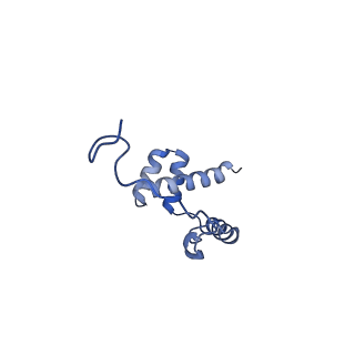 0601_6olg_Ai_v1-1
Human ribosome nascent chain complex stalled by a drug-like small molecule (CDH1_RNC with PP tRNA)