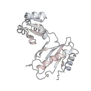 0601_6olg_Au_v1-1
Human ribosome nascent chain complex stalled by a drug-like small molecule (CDH1_RNC with PP tRNA)