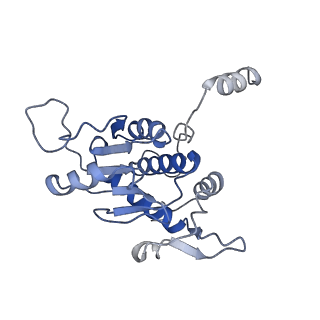 0601_6olg_BA_v1-1
Human ribosome nascent chain complex stalled by a drug-like small molecule (CDH1_RNC with PP tRNA)