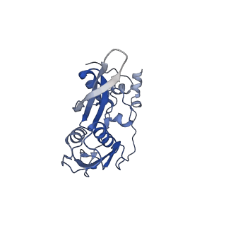 0601_6olg_BC_v1-1
Human ribosome nascent chain complex stalled by a drug-like small molecule (CDH1_RNC with PP tRNA)