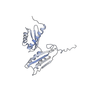0601_6olg_BD_v1-1
Human ribosome nascent chain complex stalled by a drug-like small molecule (CDH1_RNC with PP tRNA)