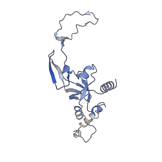0601_6olg_BI_v1-1
Human ribosome nascent chain complex stalled by a drug-like small molecule (CDH1_RNC with PP tRNA)