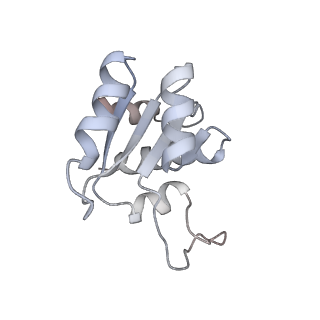 0601_6olg_BM_v1-1
Human ribosome nascent chain complex stalled by a drug-like small molecule (CDH1_RNC with PP tRNA)