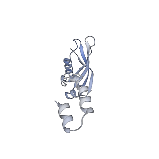 0601_6olg_BY_v1-1
Human ribosome nascent chain complex stalled by a drug-like small molecule (CDH1_RNC with PP tRNA)