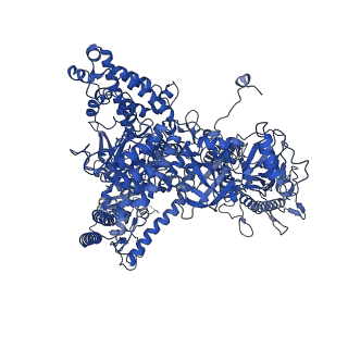 12974_7ol0_A_v1-3
Structure of active transcription elongation complex Pol II-DSIF (SPT5-KOW5)