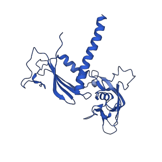 12974_7ol0_C_v1-3
Structure of active transcription elongation complex Pol II-DSIF (SPT5-KOW5)