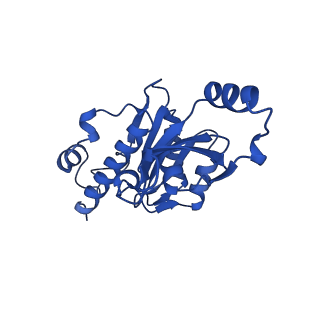 12974_7ol0_E_v1-3
Structure of active transcription elongation complex Pol II-DSIF (SPT5-KOW5)