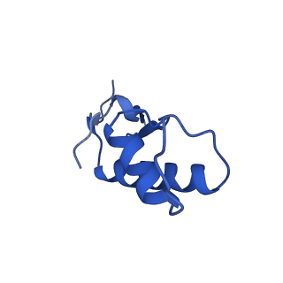 12974_7ol0_F_v1-3
Structure of active transcription elongation complex Pol II-DSIF (SPT5-KOW5)