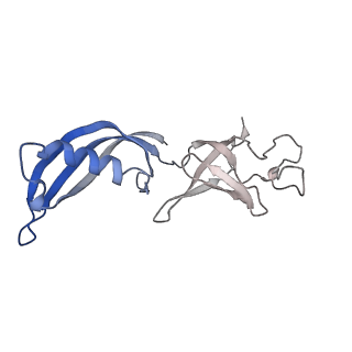 12974_7ol0_G_v1-3
Structure of active transcription elongation complex Pol II-DSIF (SPT5-KOW5)