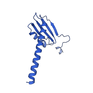 12974_7ol0_K_v1-3
Structure of active transcription elongation complex Pol II-DSIF (SPT5-KOW5)