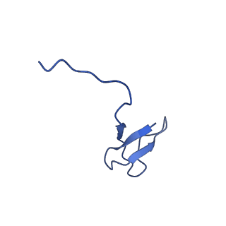 12974_7ol0_L_v1-3
Structure of active transcription elongation complex Pol II-DSIF (SPT5-KOW5)