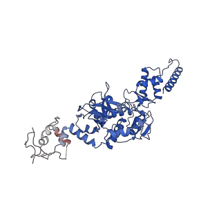 12975_7ola_A_v1-2
Structure of Primase-Helicase in SaPI5